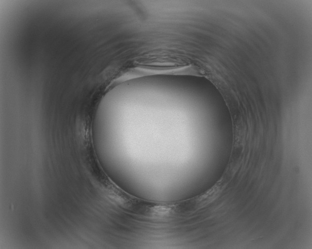 X0000069810176200606021514