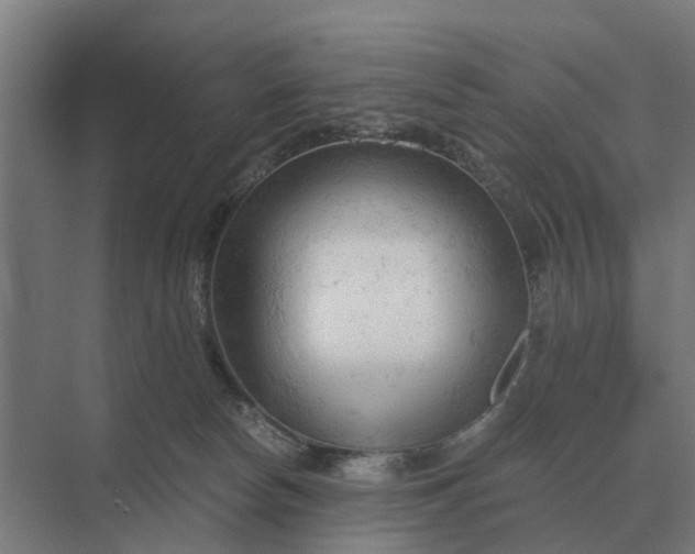 X0000069810178200606021514