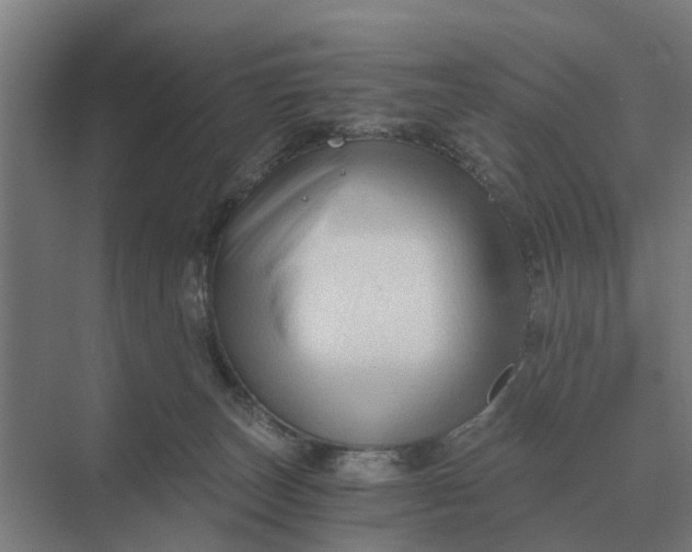 X0000069810179200606021514