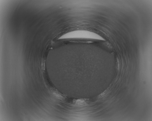 X0000069810180200606021514