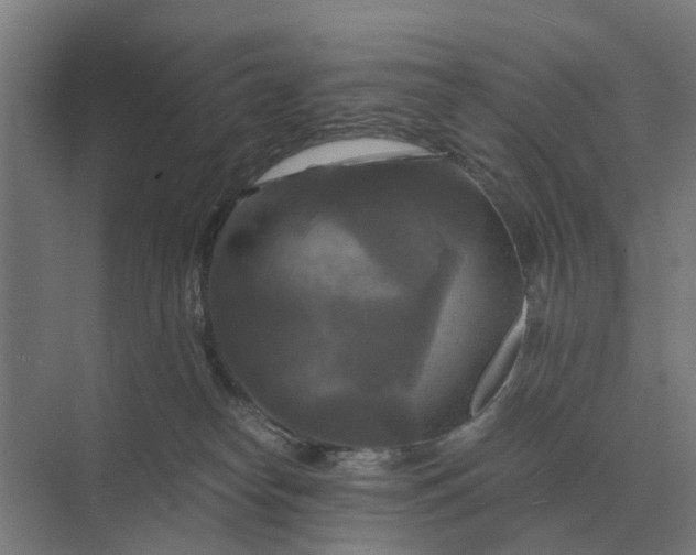 X0000069810182200606021515