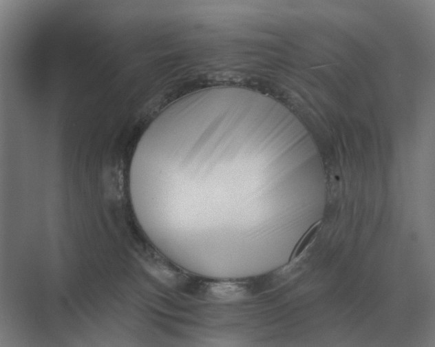 X0000069810183200606021515