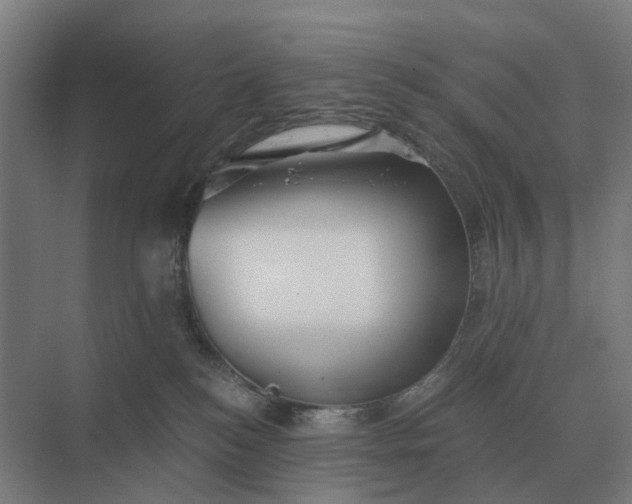 X0000069810184200606021515