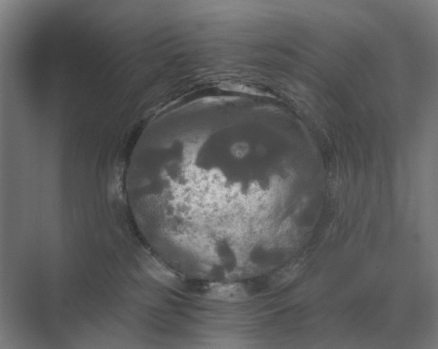 X0000069810185200606021515