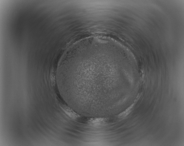 X0000069810186200606021515