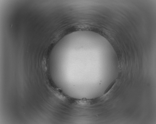 X0000069810187200606021515