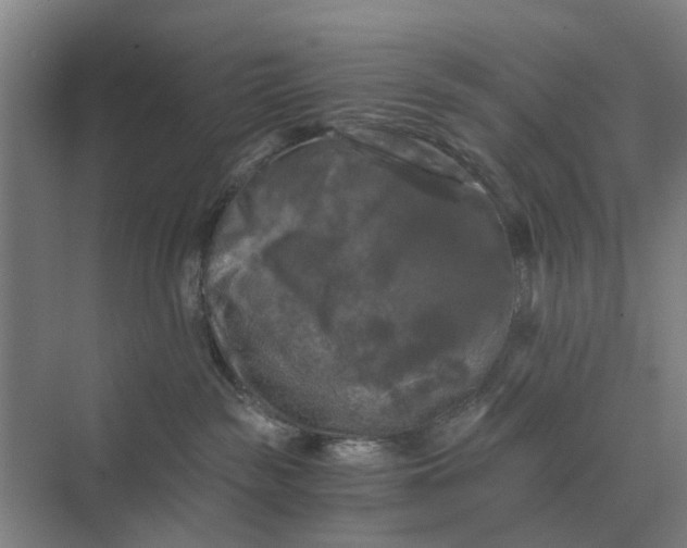 X0000069810189200606021515