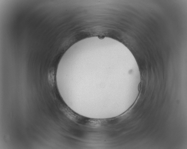 X0000069810190200606021515