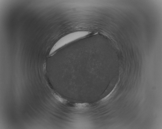 X0000069810192200606021515