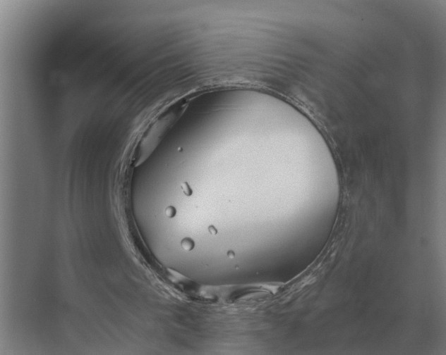 X0000069810193200606021514