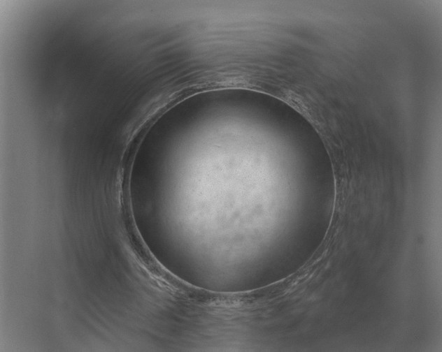 X0000069810194200606021514