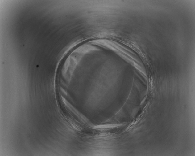 X0000069810196200606021514