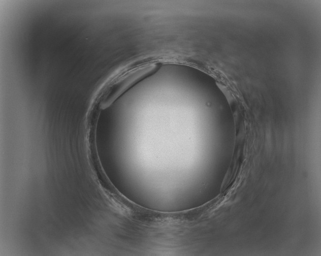 X0000069810197200606021514