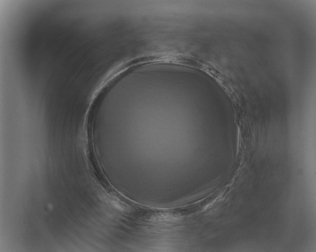 X0000069810198200606021514