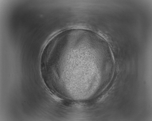 X0000069810199200606021514