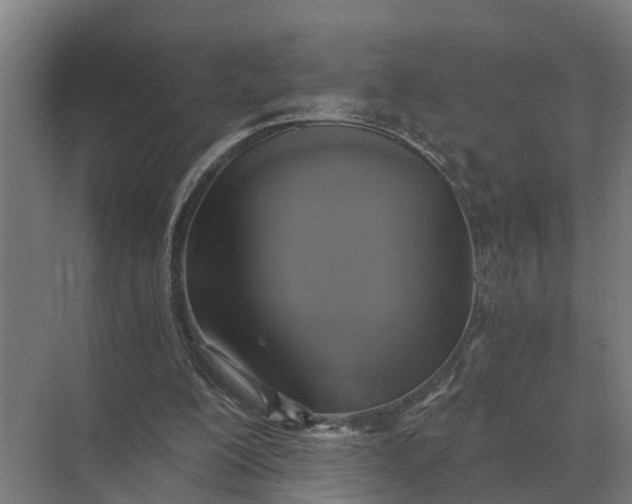 X0000069810200200606021514