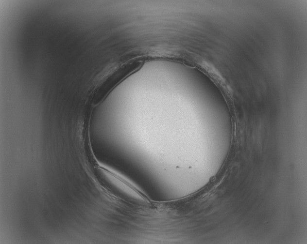 X0000069810201200606021514