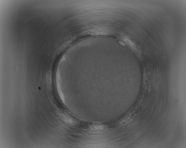 X0000069810202200606021514