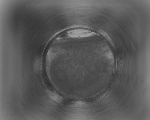 X0000069810204200606021514