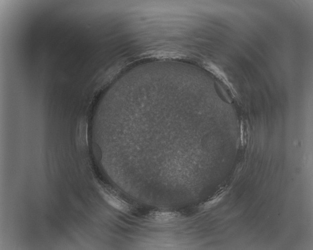 X0000069810205200606021514