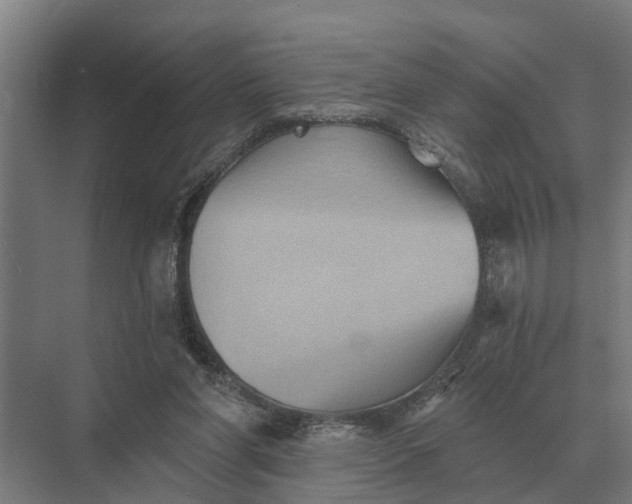 X0000069810206200606021514