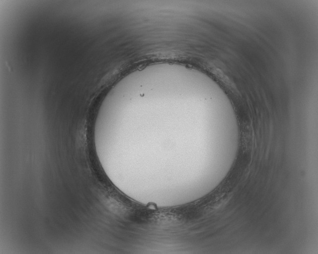 X0000069810207200606021514