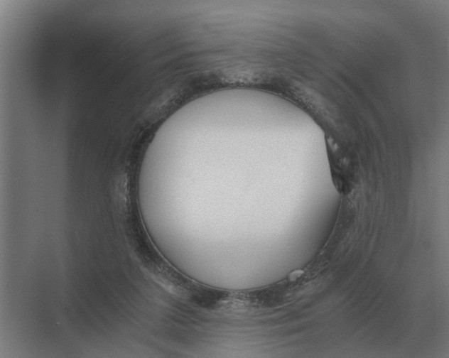 X0000069810211200606021514