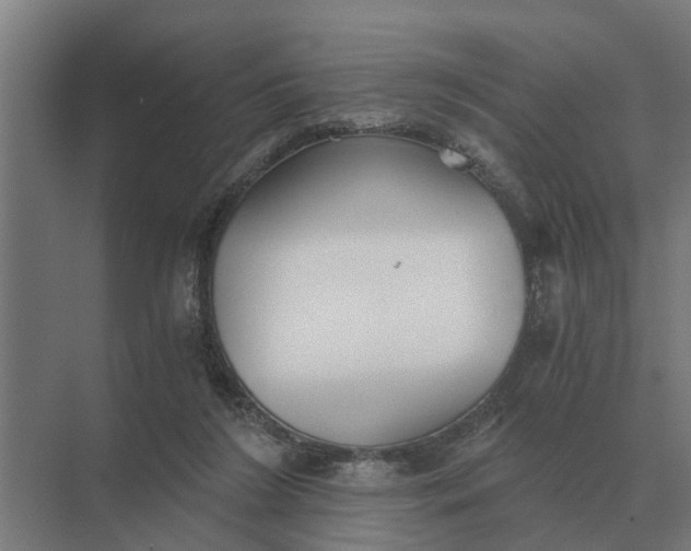 X0000069810212200606021514