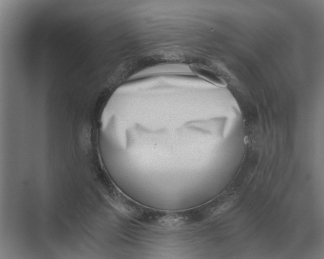 X0000069810213200606021514