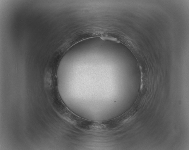 X0000069810215200606021513