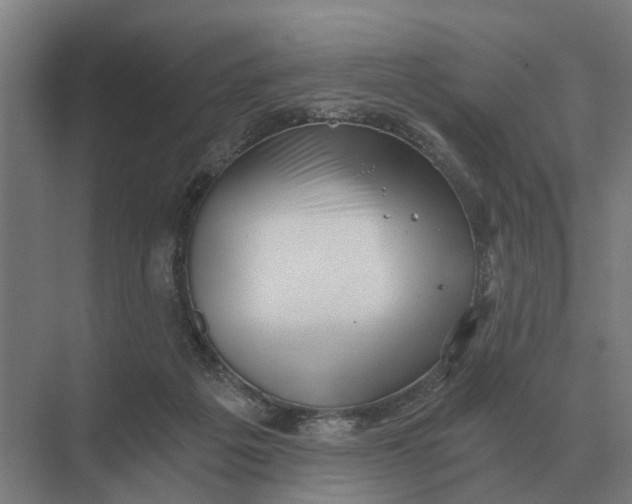 X0000069810217200606021513