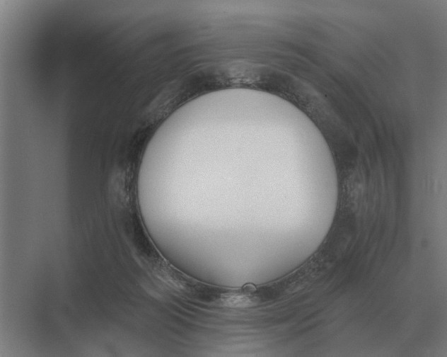 X0000069810218200606021513