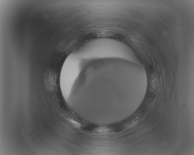 X0000069810219200606021513