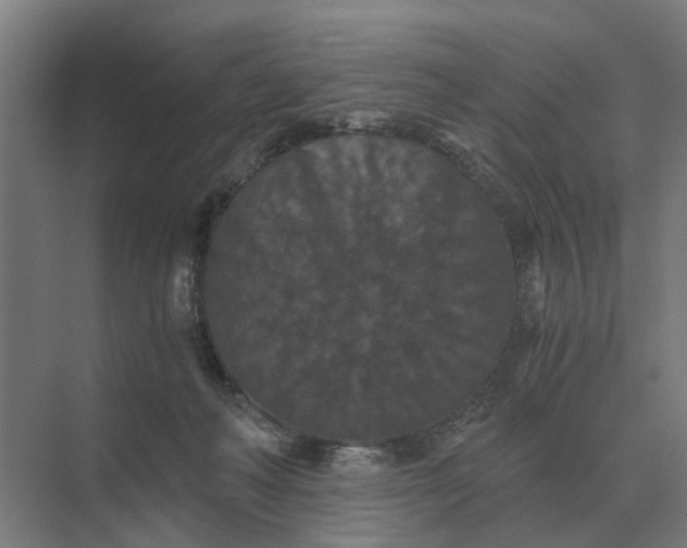 X0000069810222200606021513