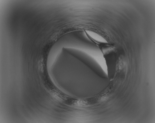 X0000069810223200606021513