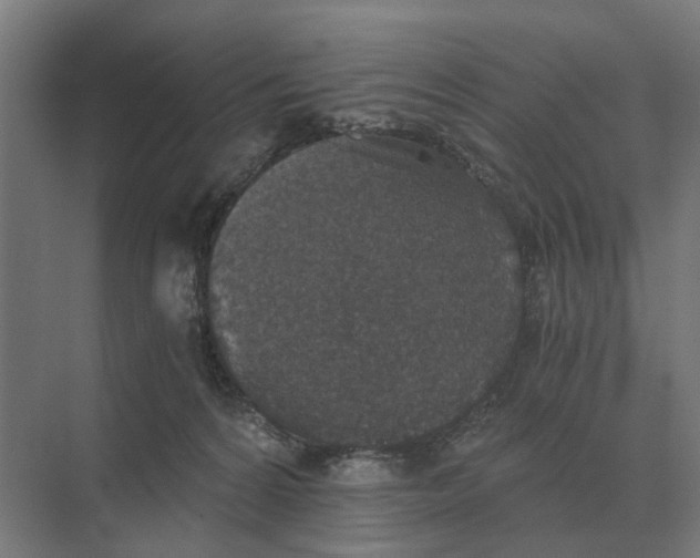 X0000069810224200606021513