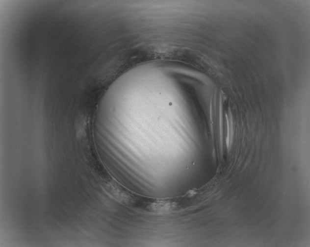 X0000069810225200606021513