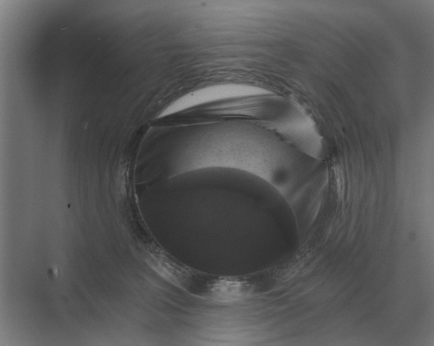 X0000069810227200606021513