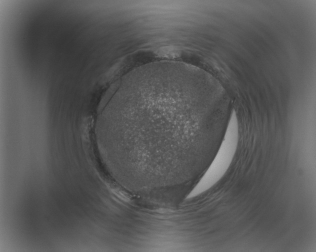 X0000069810229200606021513