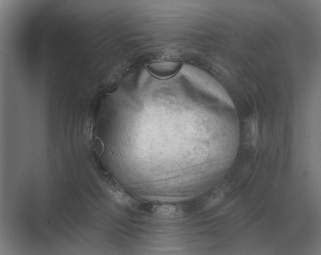 X0000069810230200606021513