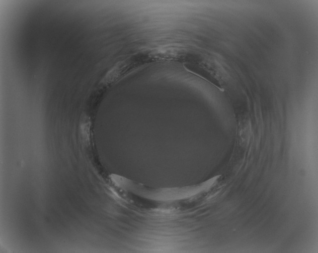 X0000069810231200606021513