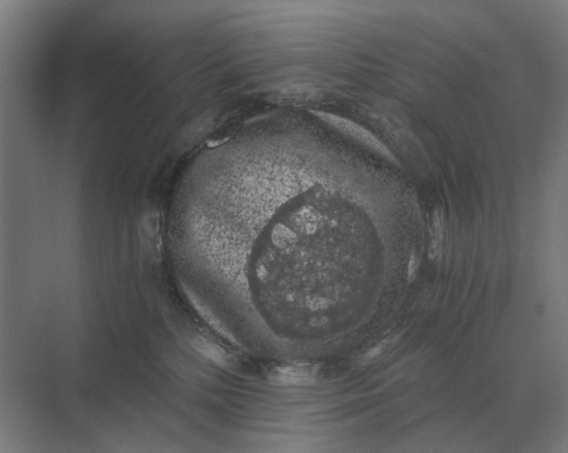 X0000069810232200606021513