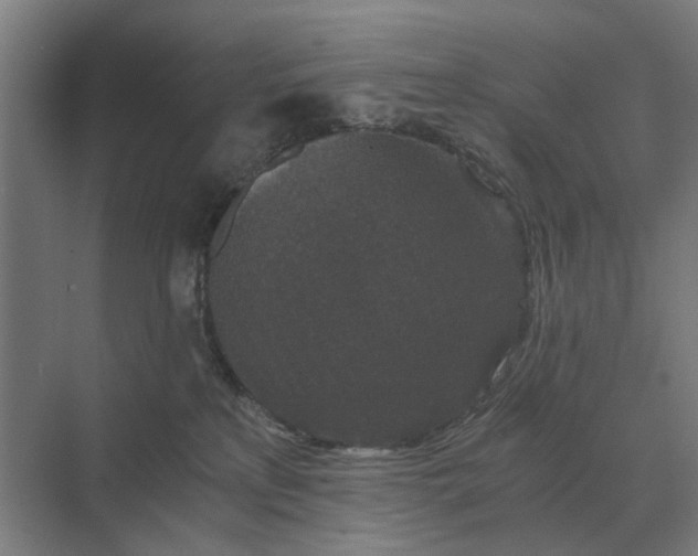 X0000069810233200606021513