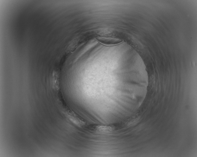 X0000069810234200606021513