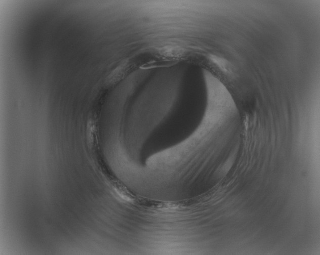 X0000069810235200606021513