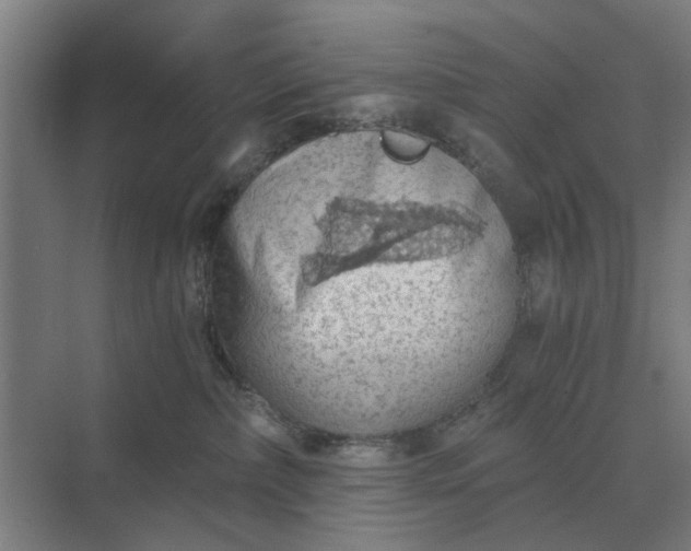 X0000069810236200606021513