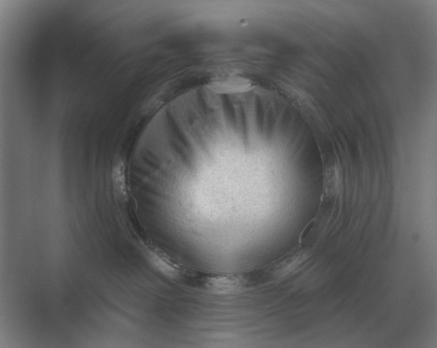 X0000069810238200606021513