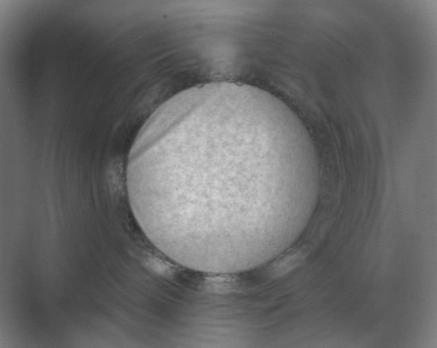 X0000069810240200606021513