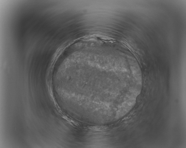 X0000069810241200606021512