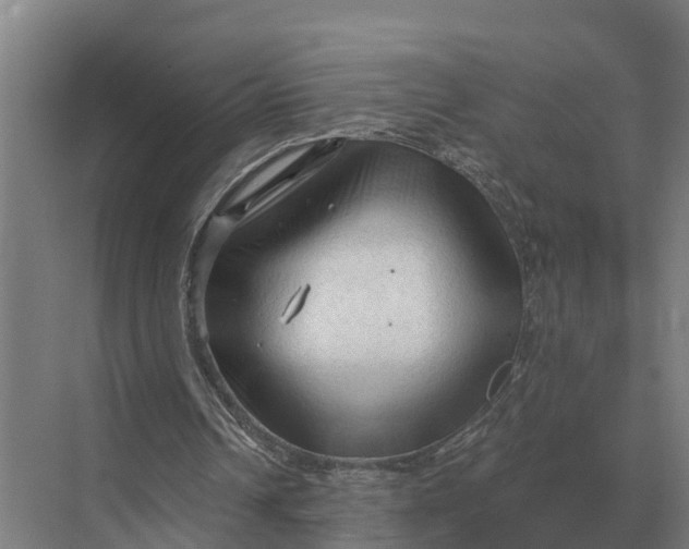 X0000069810242200606021512